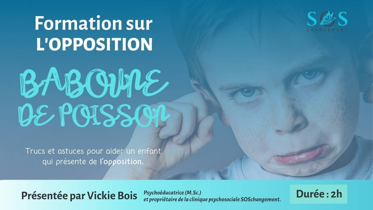 Formation sur l’opposition: «Baboune de poisson» – SOS Changement
